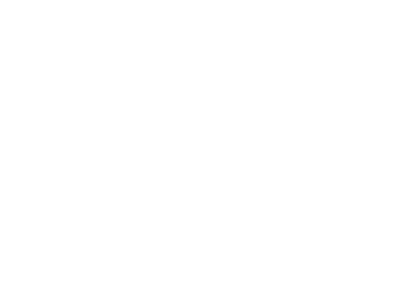 Bespoke Training