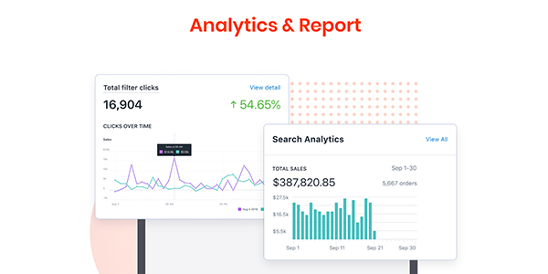 Analytics &amp; Report