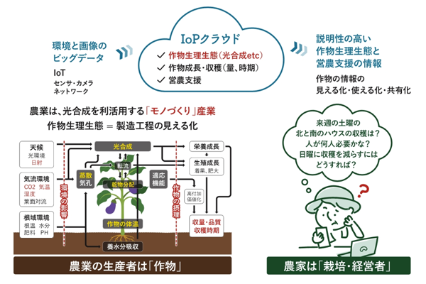 Kochi Prefecture