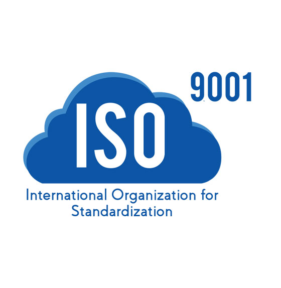 iso 9001 standard