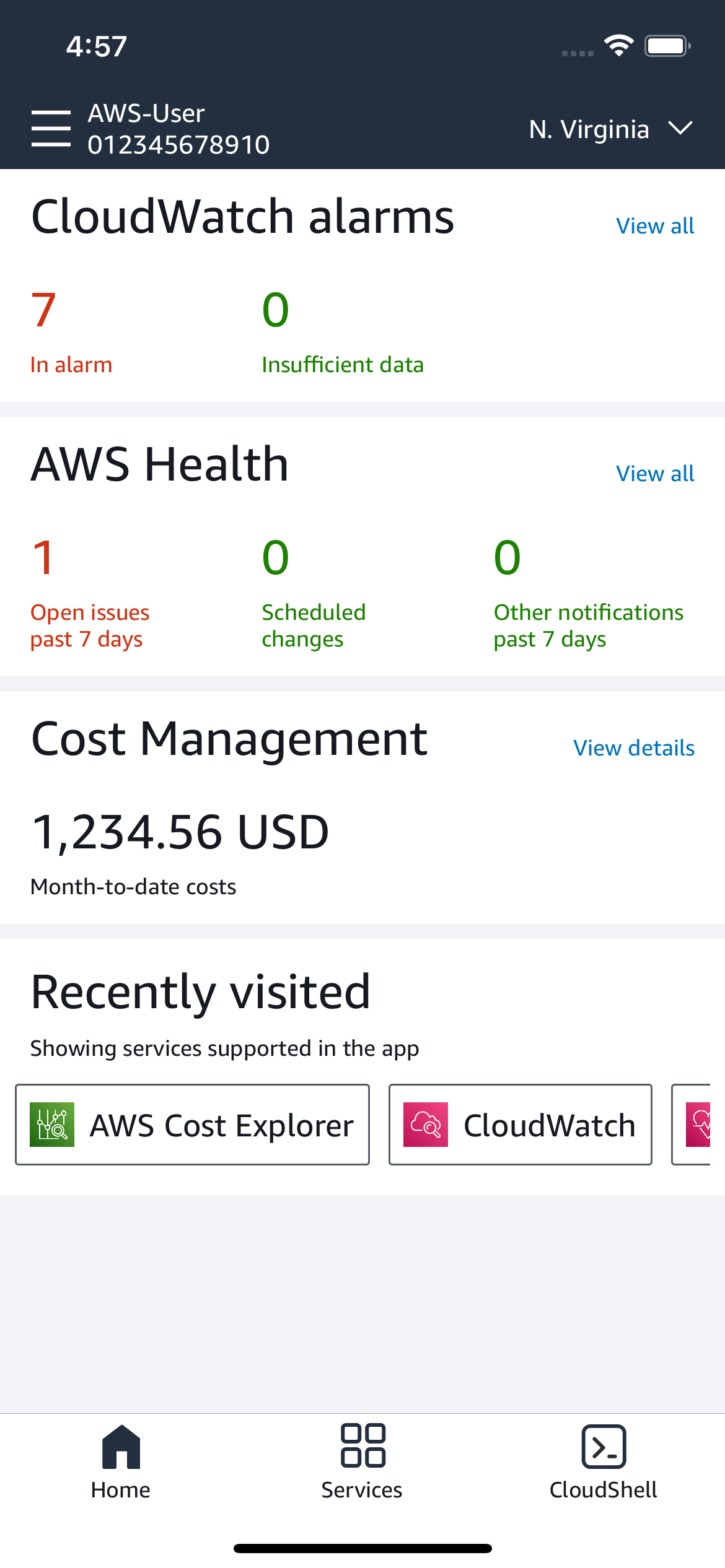 Console Mobile App for iOS dashboard