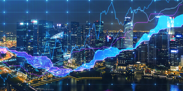 portfolio risk data