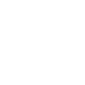 BMC Software, Inc.