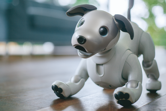 Aibo aws store