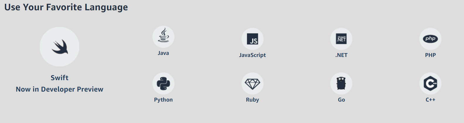 Software Development Kit (SDK) 