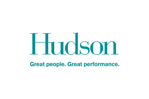 Hudson 客户案例