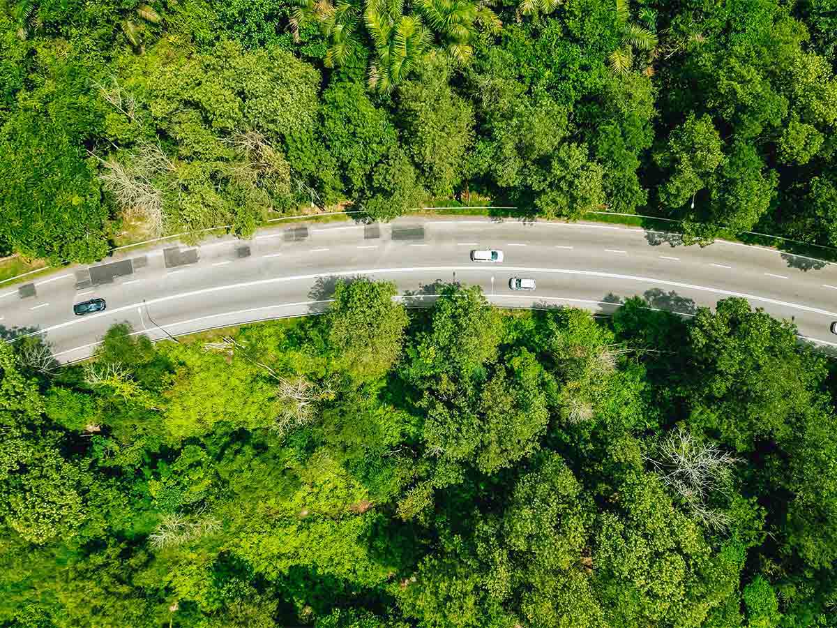 foto aerea di auto sull'autostrada attraverso gli alberi di una foresta