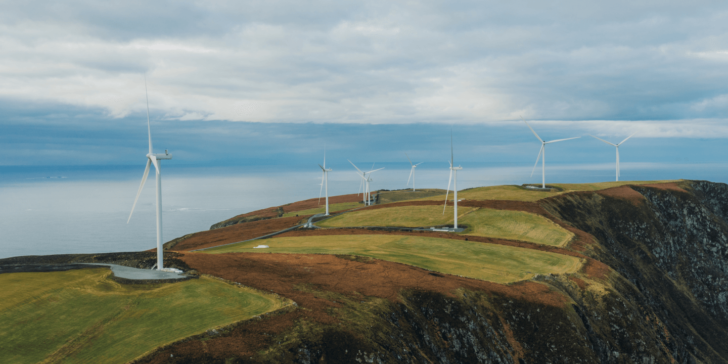 windmill on grass