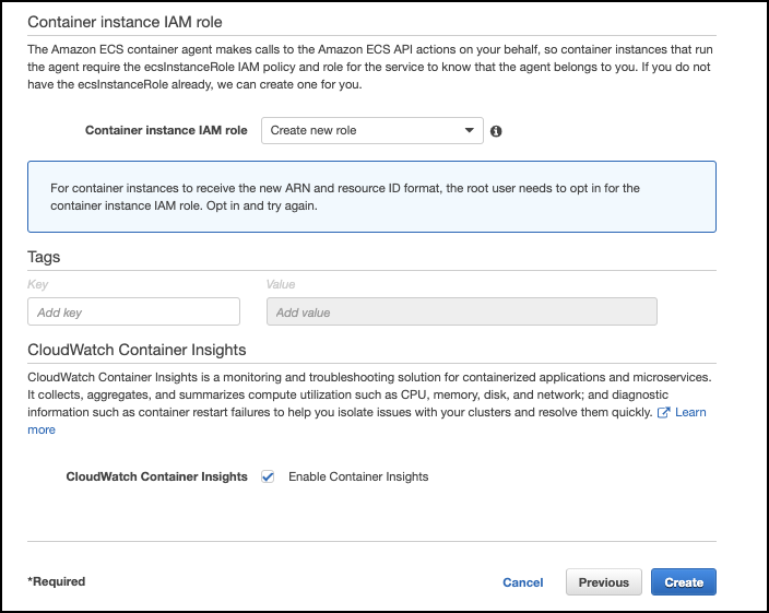 ECS container instance IAM role