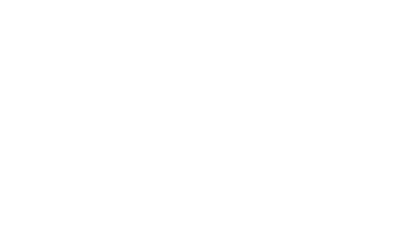 Denodo Technologies 株式会社