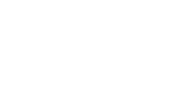 Elasticsearch株式会社