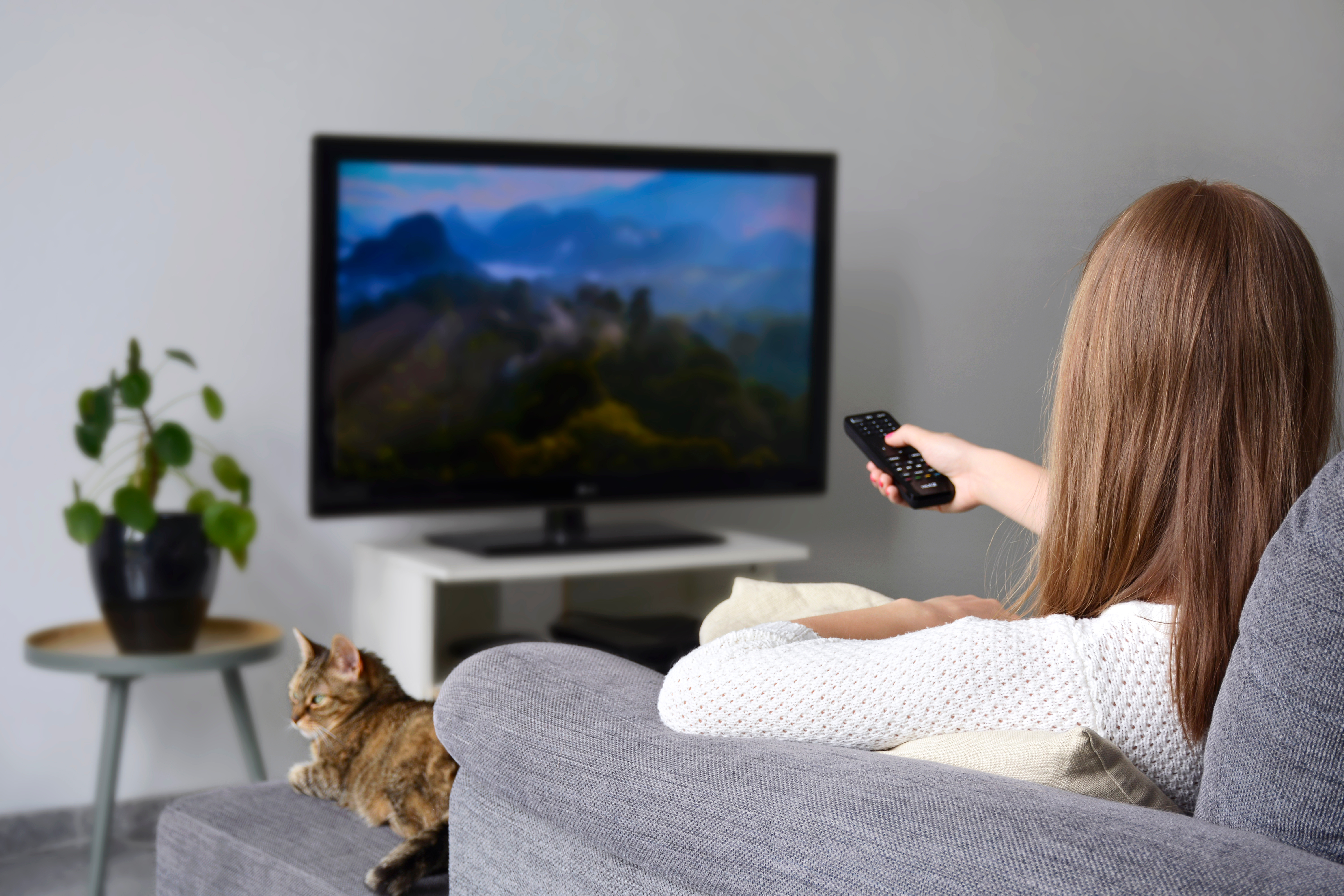 A young woman watching TV while sitting on sofa in living room