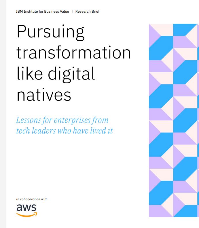 Pursuing Transformation Like Digital Natives