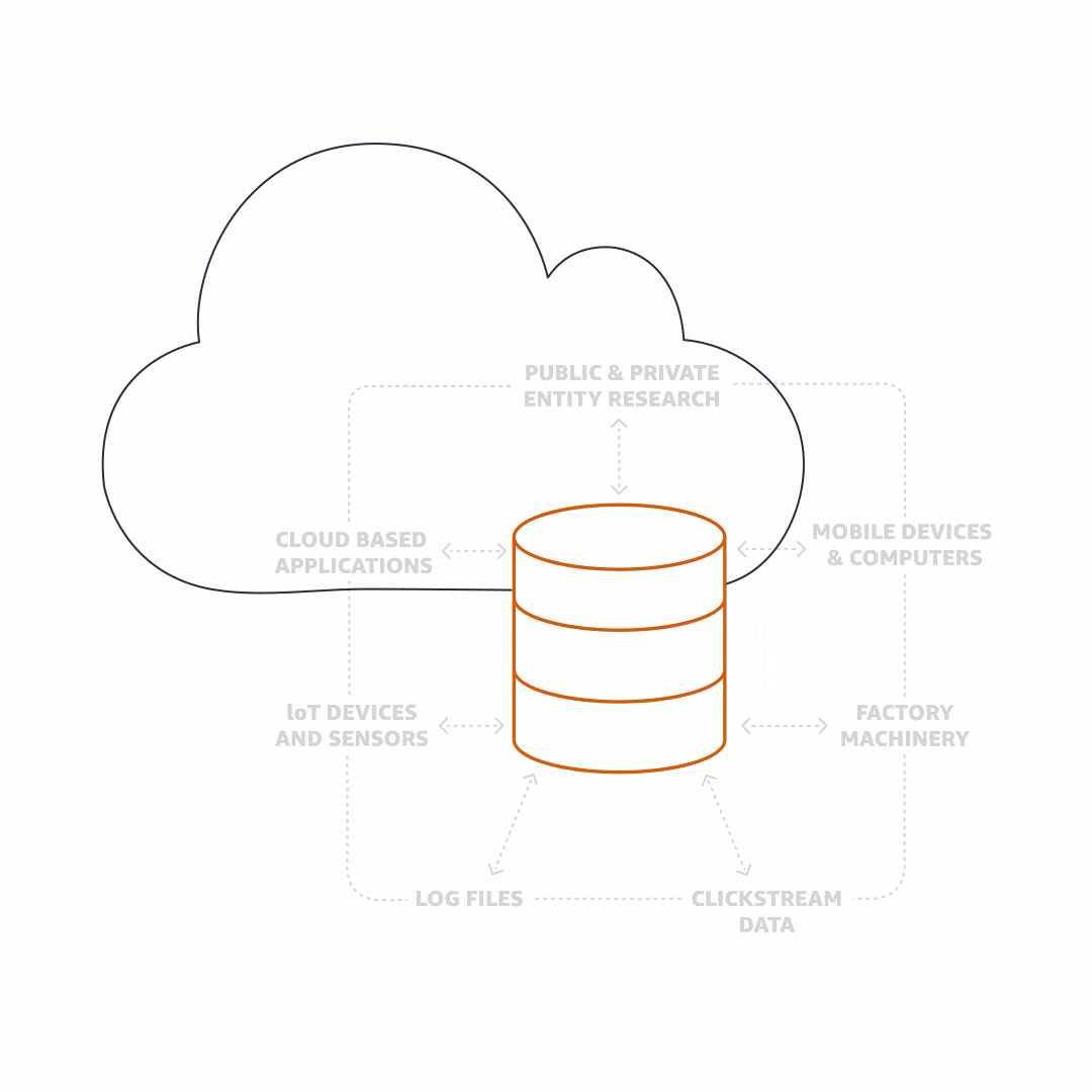 What are common sources of organizational data?