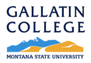 Gallatin College