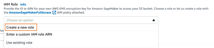 IAM Role dropdown with Create a new role selected