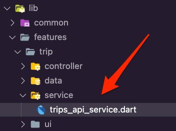 The trips_api_service.dart file inside services folder