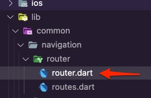 The router.dart file inside the router navigation folder