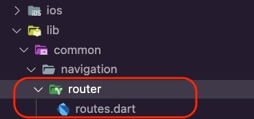 The routes.dart file inside the router folder