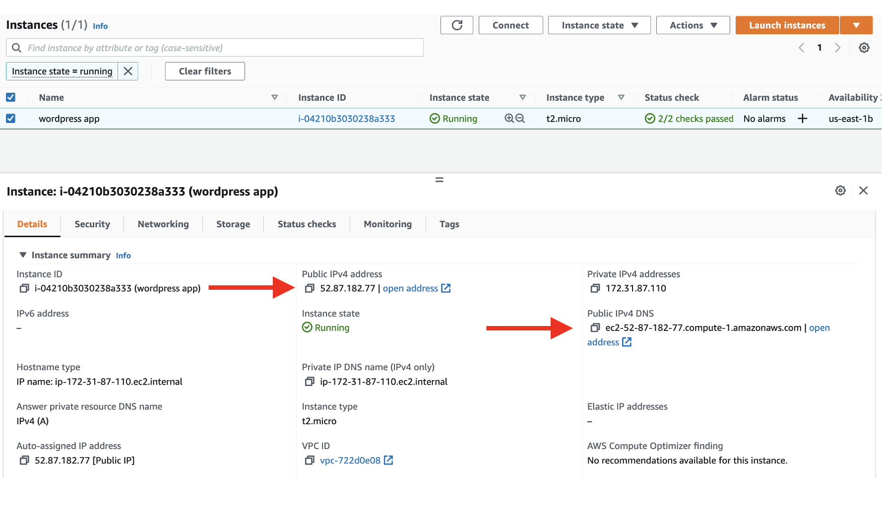 You will see a public IP address labeled IPv4 Public IP in the instance description.