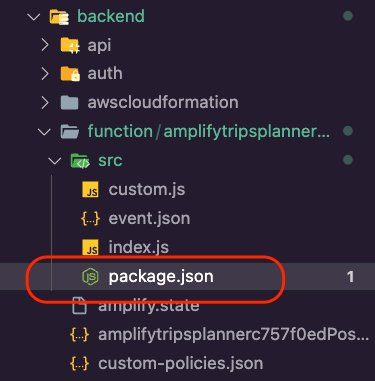 The package.json file