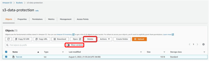 Objects tab within Buckets section, with Show versions enabled.