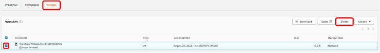 Versions tab, with object selected and Delete button highlighted.
