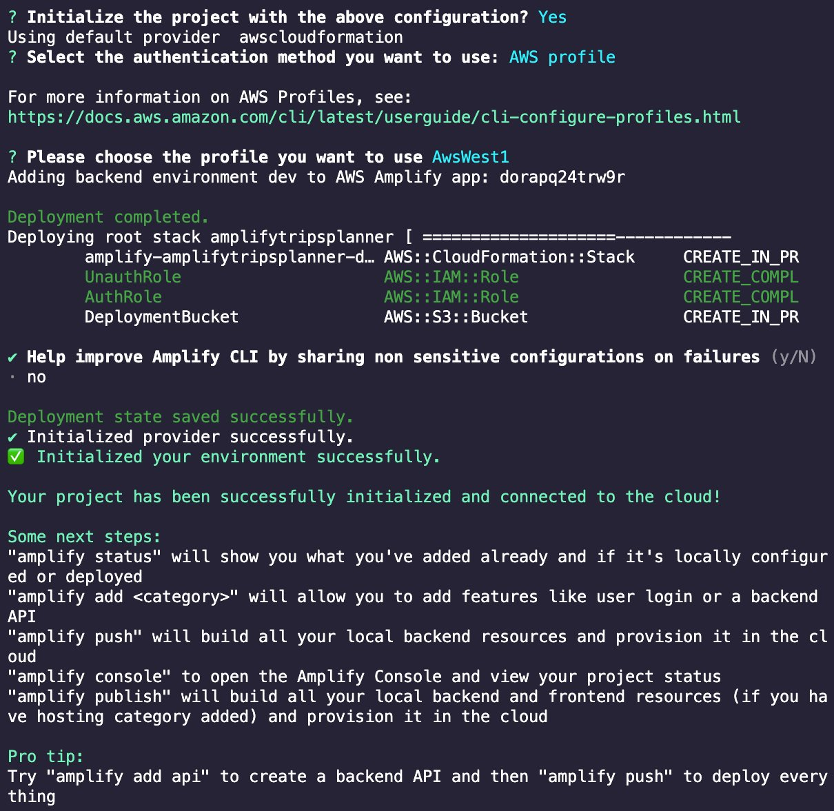 Amplify CLI initialized the backend
