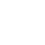 AWS Cloud