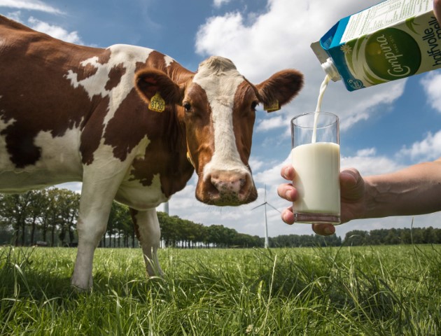 AWS Case Study - Royal FrieslandCampina