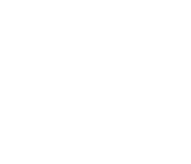 Secondary analysis icon