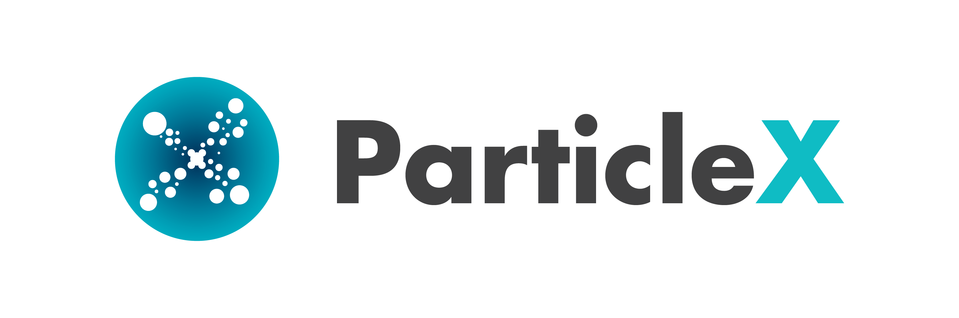 Particle X