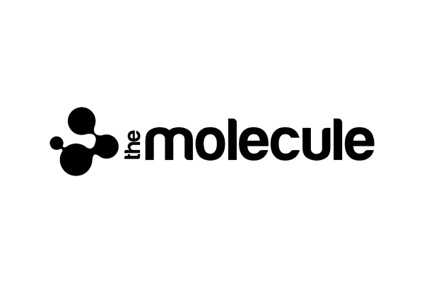 The Molecule