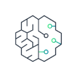 Artificial Intelligence (AI) Icon