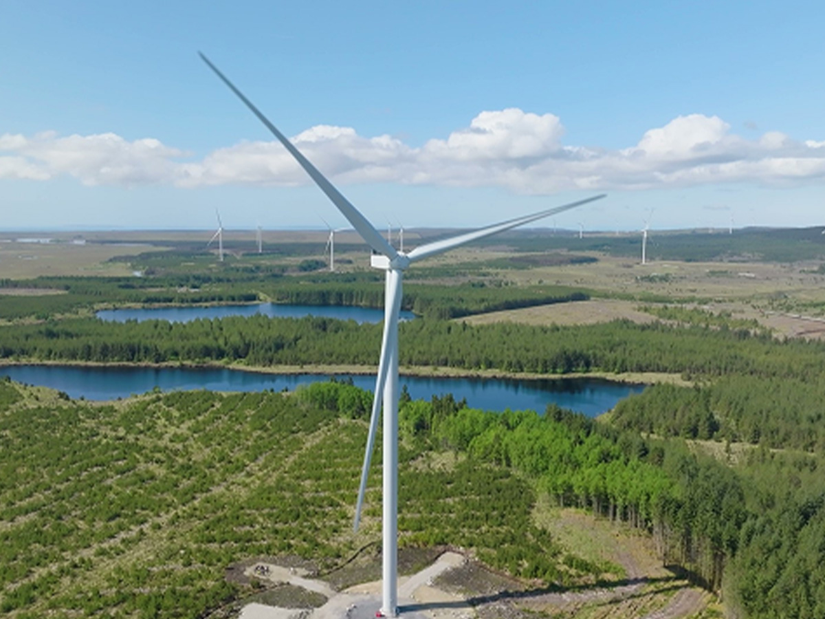 Missing alt text value