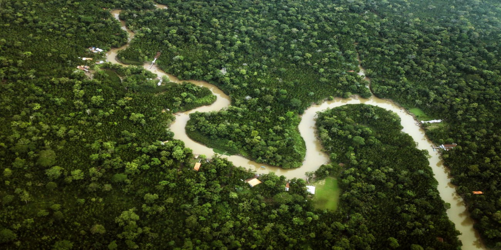 Aerial view of a rainforest with a meandering river