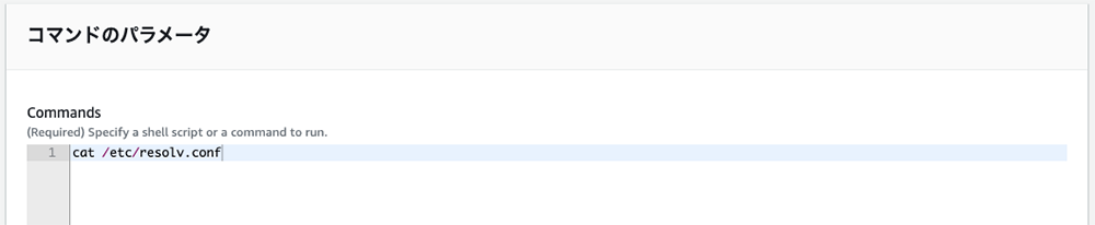 Screenshot showing the AWS Systems Manager (SSM) command parameter interface with the command 'cat /etc/resolv.conf' entered. The display includes both Japanese and English instructional text, demonstrating how to specify a shell script or command to run in AWS SSM.