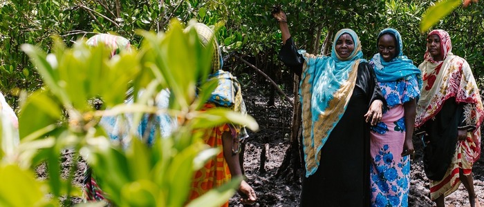 A group of women dressed in colorful traditional clothing work together in a mangrove forest, participating in a sustainability initiative. The lush green environment highlights efforts for environmental conservation and community empowerment.