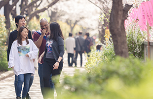 A group of AWS employees are walking outdoors on a tree-lined path, smiling and laughing together.