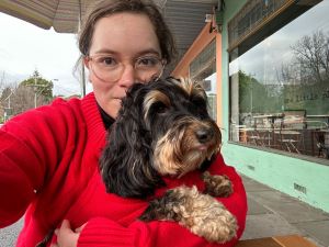 Missing alt text value