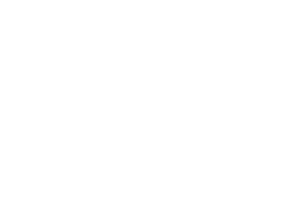Logo of Almaviva S.p.A. featuring stylized text on a transparent background.