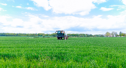 AWS launches digital training for Kiwi farmers, growers, and the agriculture industry