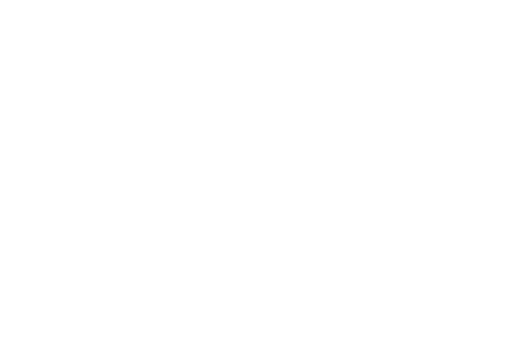 Missing alt text value