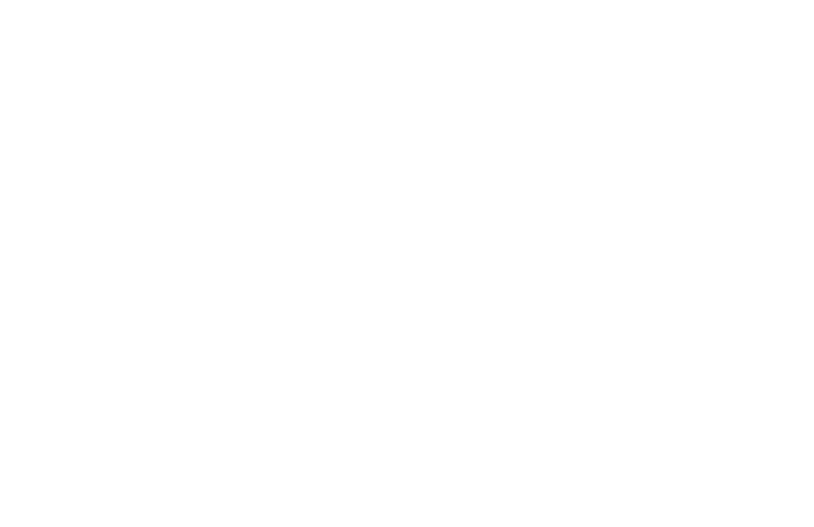 Missing alt text value