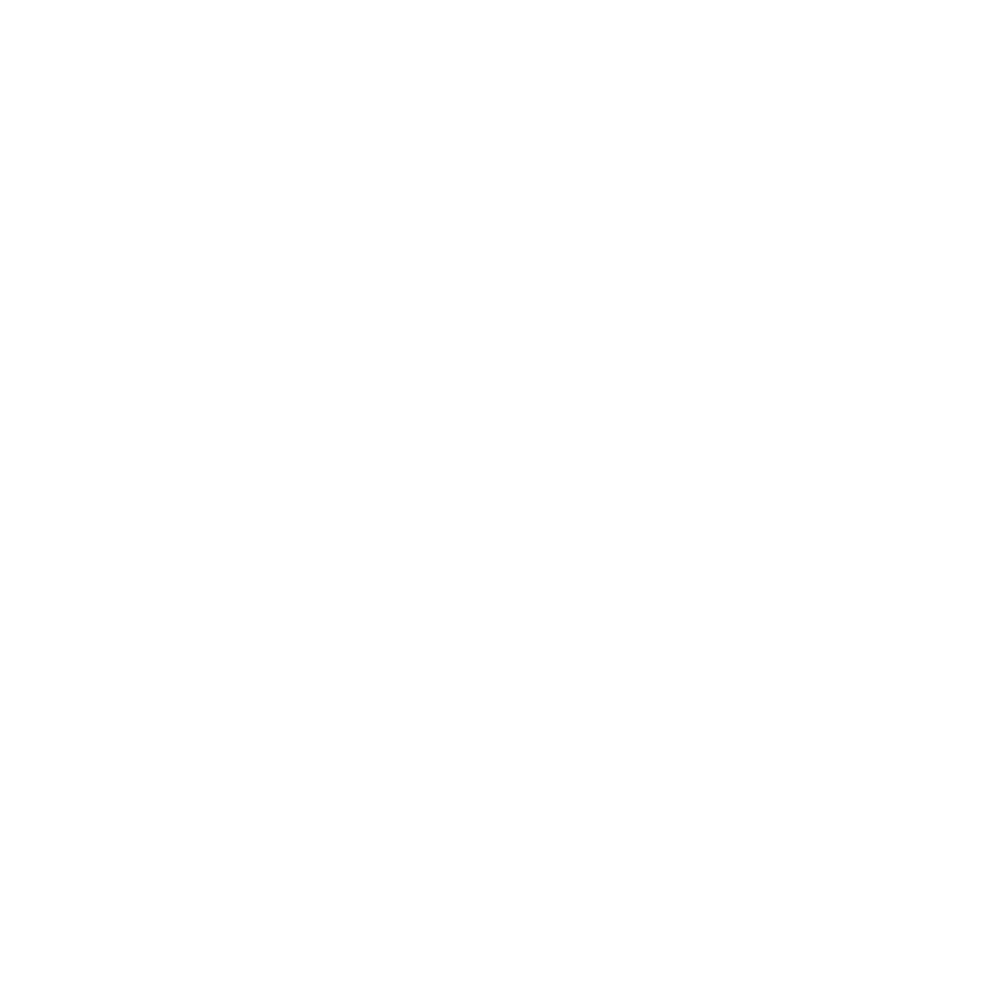 Bexprt logo