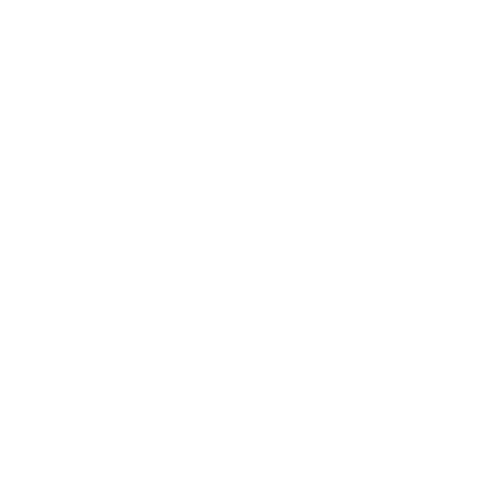 IBM logo