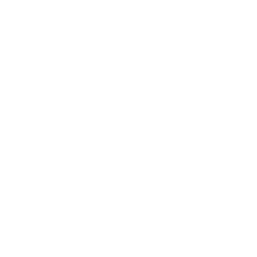 SUDO logo