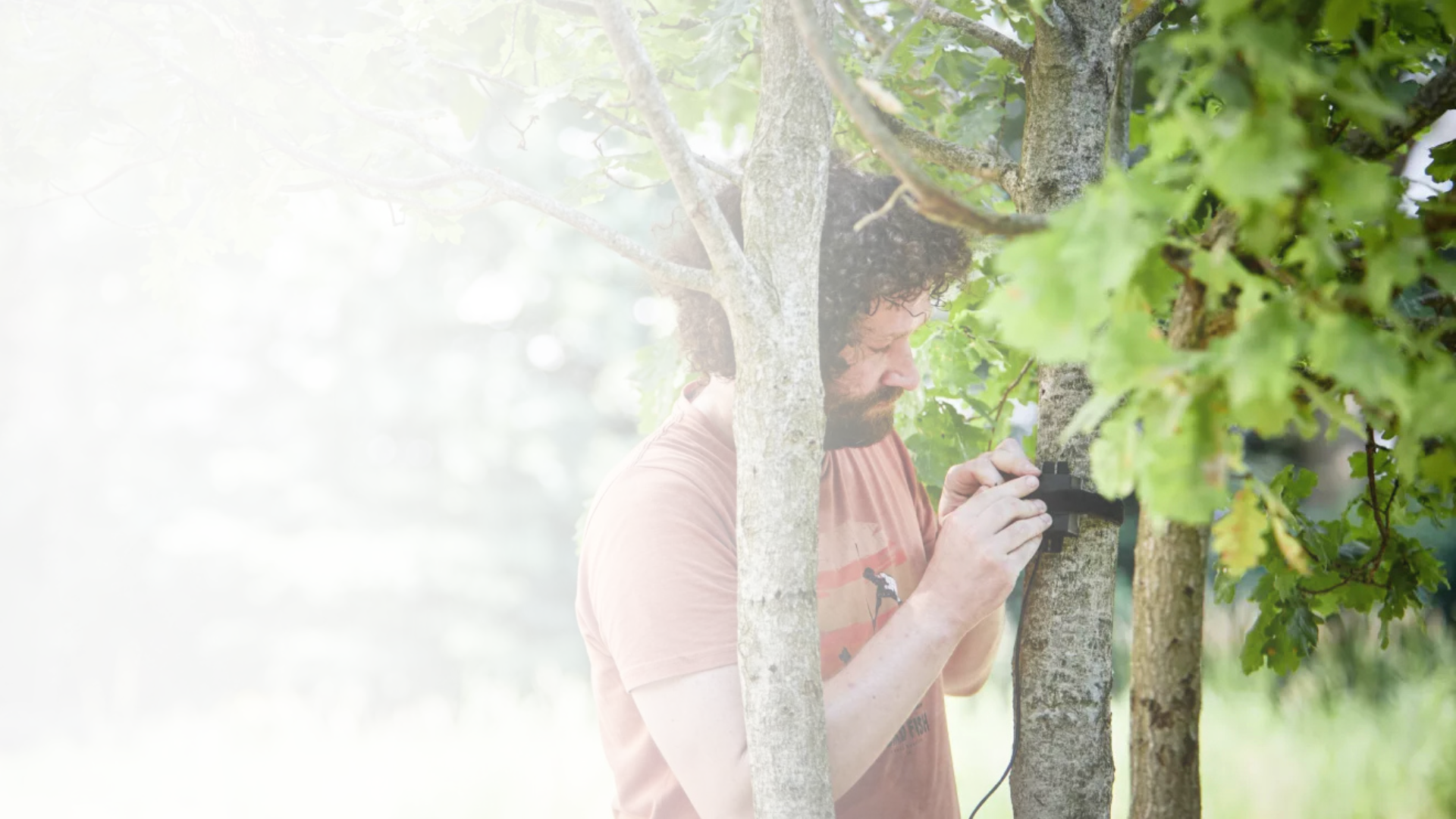 Missing alt text value