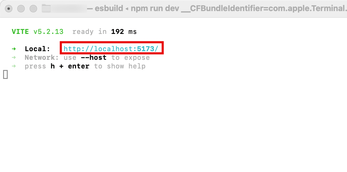 Screenshot of a terminal displaying the output from running a Vite development server. It shows the server version, readiness status, and the local URL (http://localhost:5173/) highlighted in a red box for accessing the app in a browser.