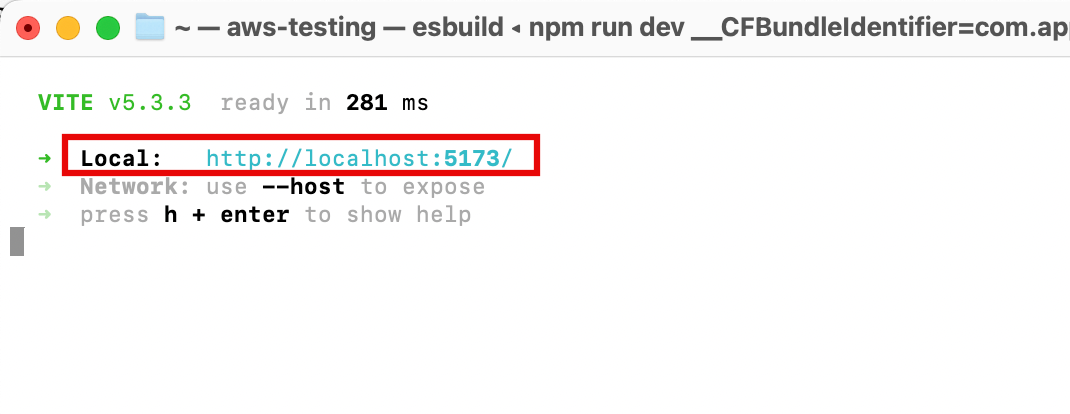 Screenshot of a terminal running 'npm run dev' for a Vite project, showing the local development server available at http://localhost:5173/.